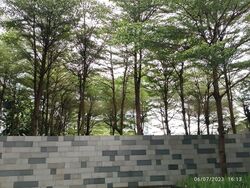 Botannia (D5), Condominium #547240821